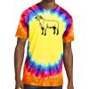 Window Tie Dye Tee Thumbnail