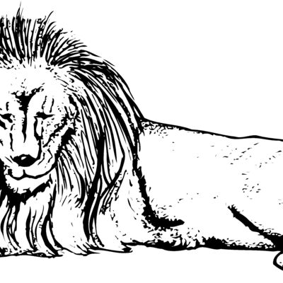 Lion Thumbnail