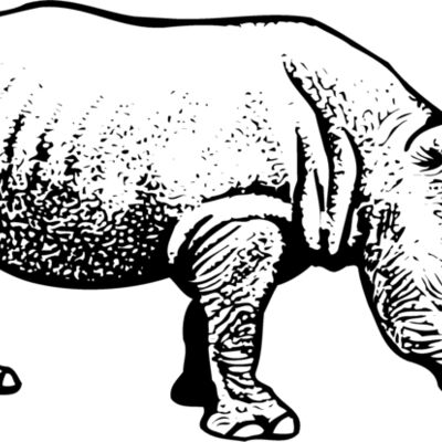 Rhino Thumbnail